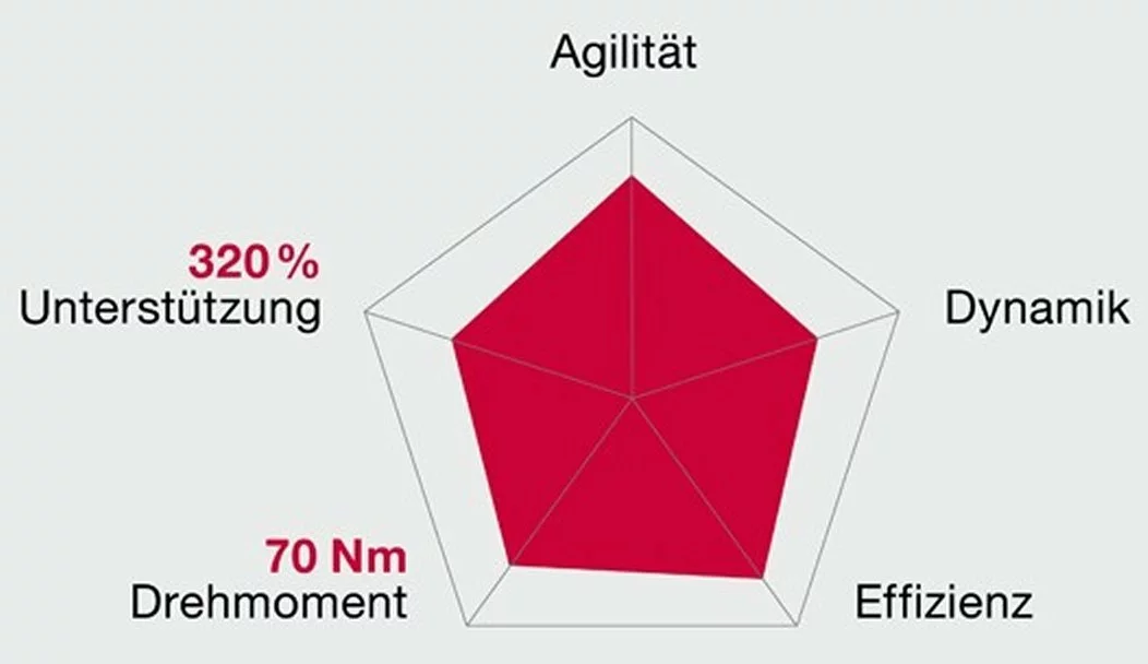 Brose Motor 250 Watt Drive-T Mag Ab 2020 (neu) – Bild 4