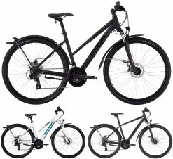 Bulls Wildcross Street 2022