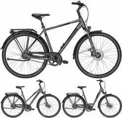 Pegasus Premio SL-Belt 2020-2021 8-Gang