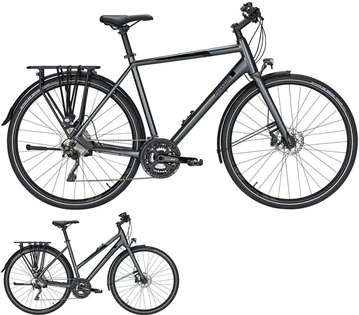 Pegasus Premio Ultralite Disc 2020/2021 30-Gang