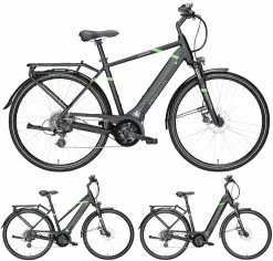 Pegasus Solero-Evo 8 2018