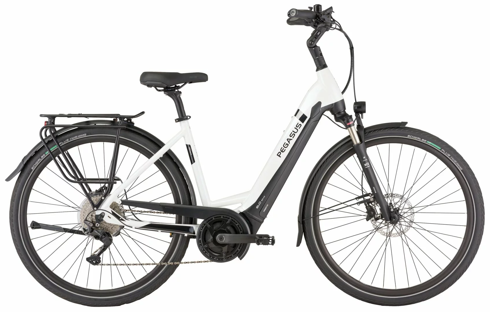 Pegasus Strong-Evo-10 2022 – Bild 4